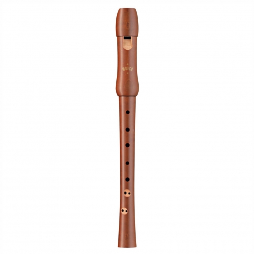 Instrumentos y accesorios de la categoría Flauta de Pico - Tienda
