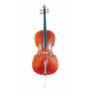 Violonchelo Estudio