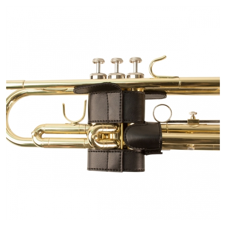 gastar Caprichoso suficiente Protector para Pistones de Trompeta PROTEC L226SP Piel | Musikarte  Instrumentos